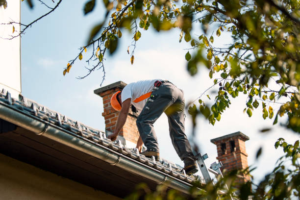 Best Flat Roof Repair Services  in St Marys, WV