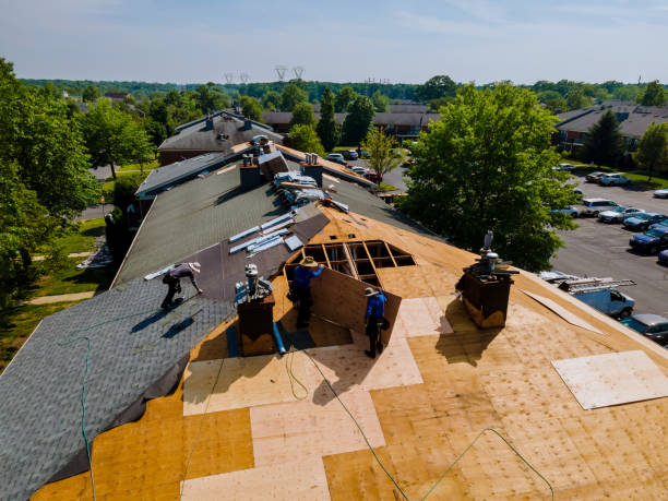 Professional Roofing Contractor in St Marys, WV