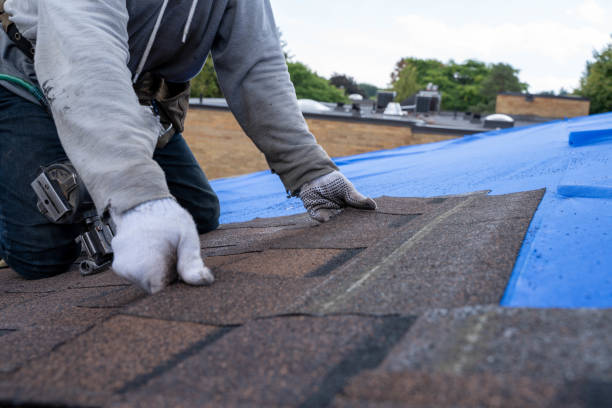Best Flat Roof Repair Services  in St Marys, WV